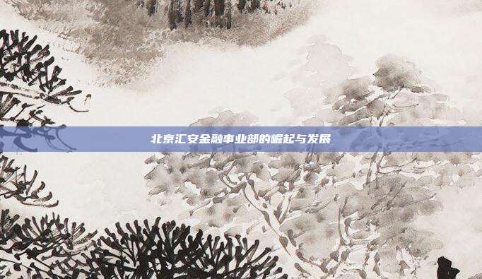 北京汇安金融事业部的崛起与发展