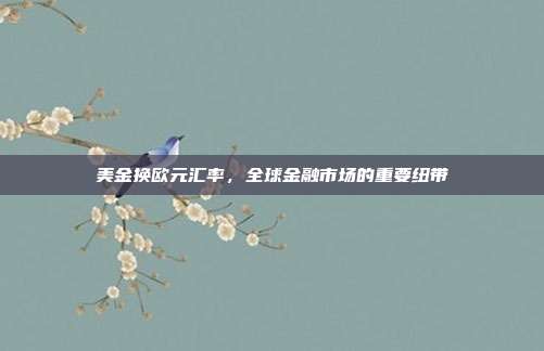 美金换欧元汇率，全球金融市场的重要纽带