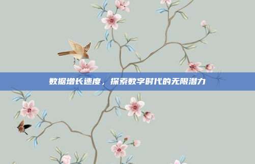 数据增长速度，探索数字时代的无限潜力