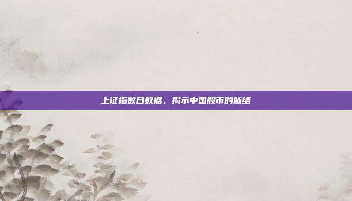 上证指数日数据，揭示中国股市的脉络