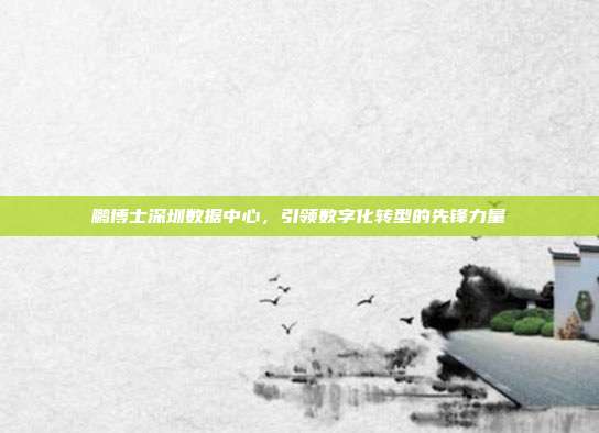 鹏博士深圳数据中心，引领数字化转型的先锋力量