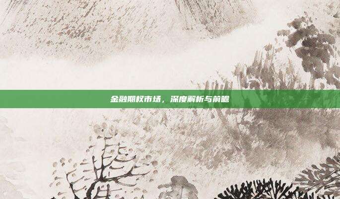 金融期权市场，深度解析与前瞻