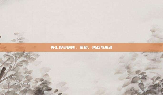 外汇投资销售，策略、挑战与机遇