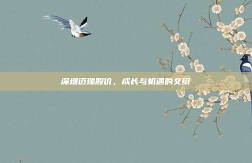 深圳迈瑞股价，成长与机遇的交织