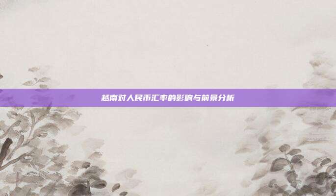 越南对人民币汇率的影响与前景分析