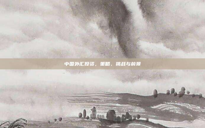 中国外汇投资，策略、挑战与前景