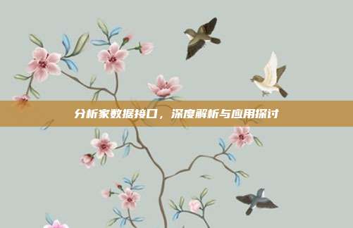 分析家数据接口，深度解析与应用探讨