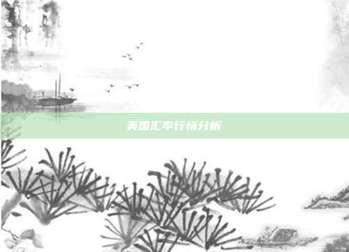 美国汇率行情分析