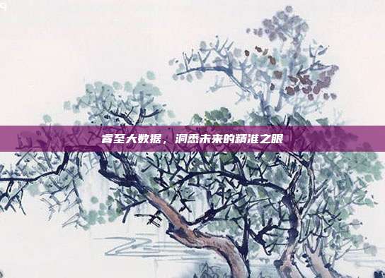 睿至大数据，洞悉未来的精准之眼