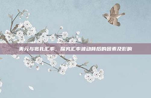 美元与宽扎汇率，探究汇率波动背后的因素及影响