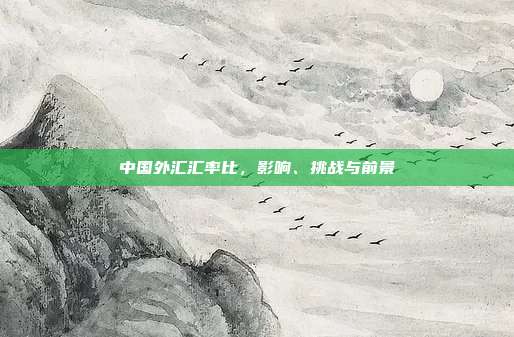 中国外汇汇率比，影响、挑战与前景