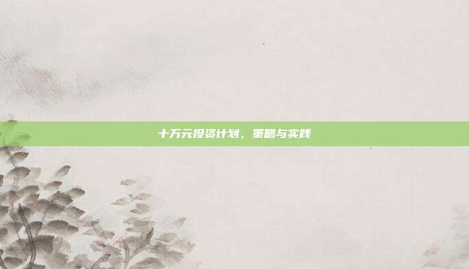 十万元投资计划，策略与实践