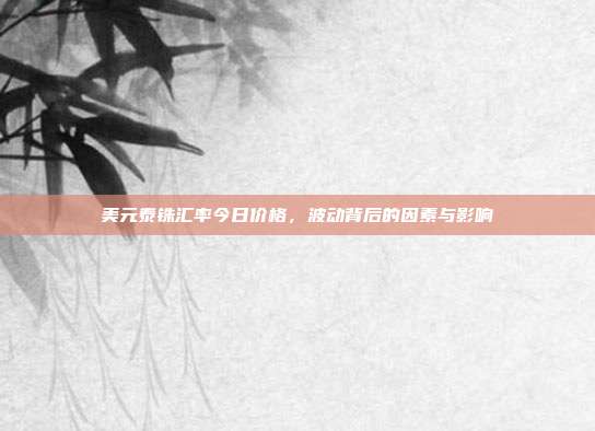 美元泰铢汇率今日价格，波动背后的因素与影响