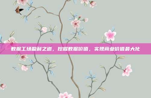 数据工场盈利之道，挖掘数据价值，实现商业价值最大化