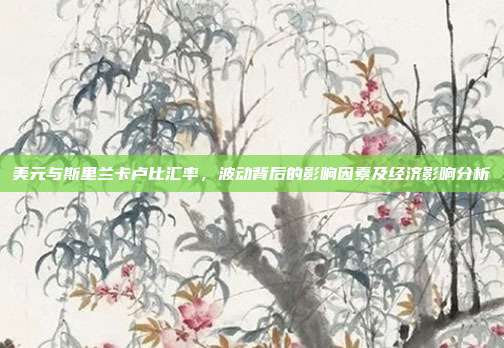 美元与斯里兰卡卢比汇率，波动背后的影响因素及经济影响分析