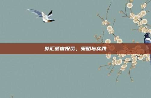 外汇额度投资，策略与实践