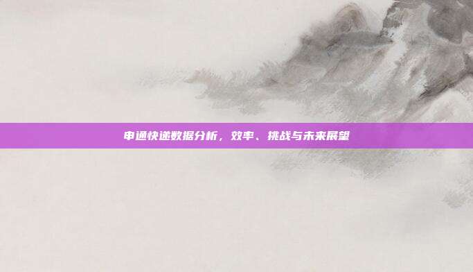 申通快递数据分析，效率、挑战与未来展望