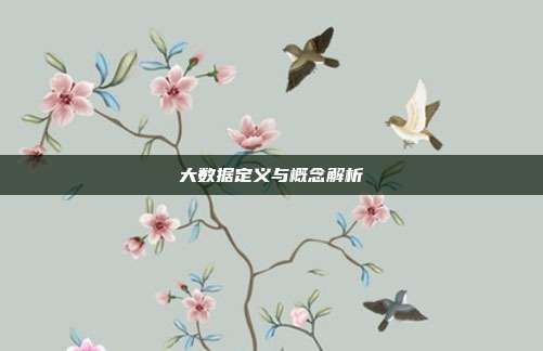 大数据定义与概念解析