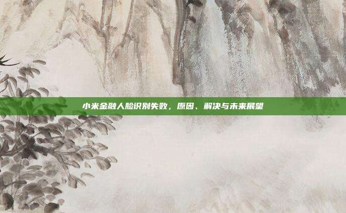 小米金融人脸识别失败，原因、解决与未来展望