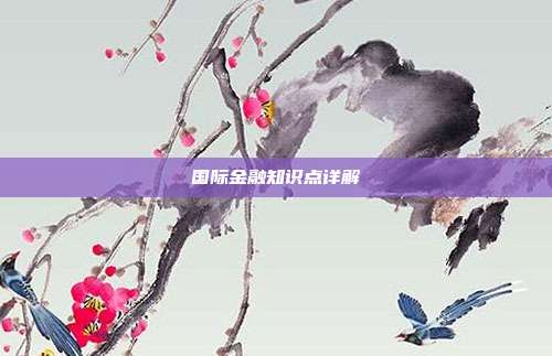 国际金融知识点详解