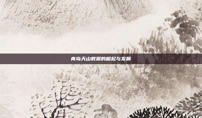 青岛天山数据的崛起与发展