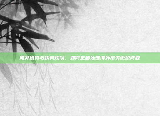 海外投资与税务规划，如何正确处理海外投资缴税问题