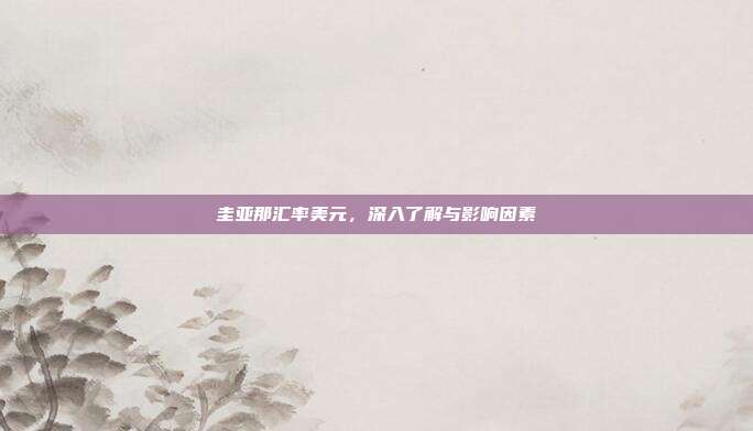 圭亚那汇率美元，深入了解与影响因素