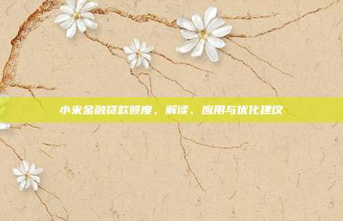 小米金融贷款额度，解读、应用与优化建议