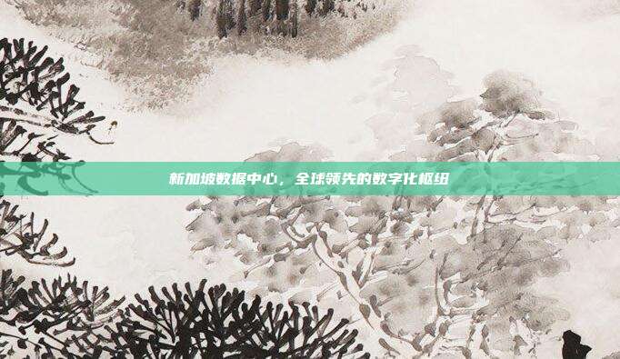 新加坡数据中心，全球领先的数字化枢纽