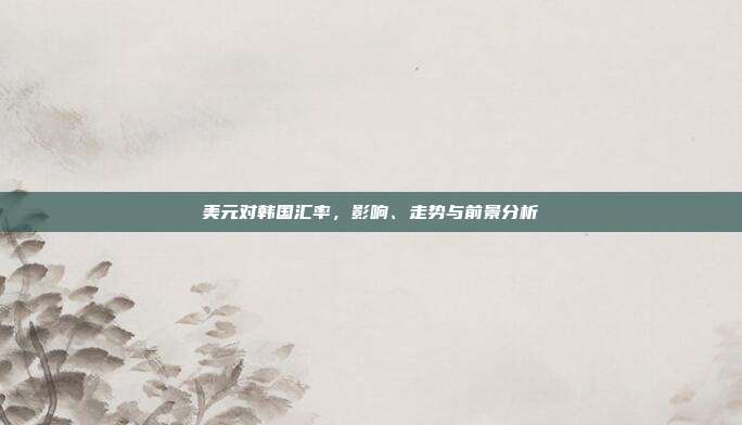 美元对韩国汇率，影响、走势与前景分析