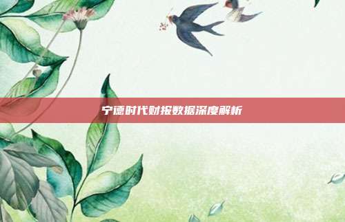 宁德时代财报数据深度解析