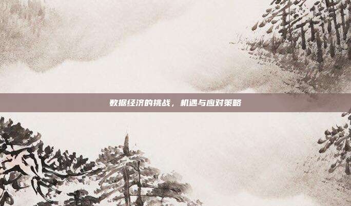 数据经济的挑战，机遇与应对策略