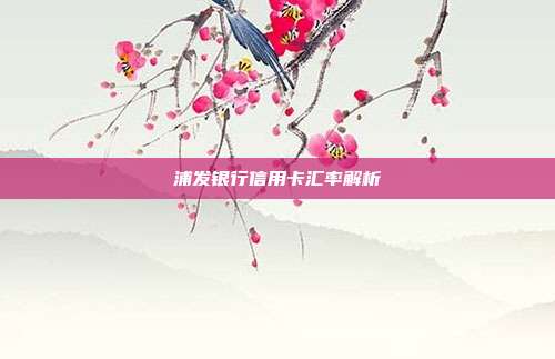 浦发银行信用卡汇率解析