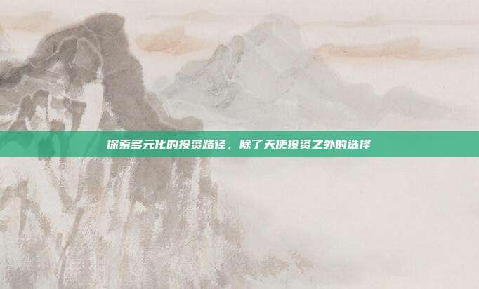 探索多元化的投资路径，除了天使投资之外的选择