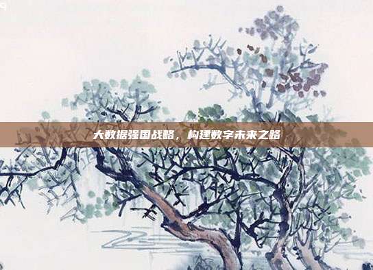 大数据强国战略，构建数字未来之路