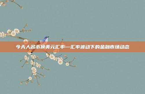 今天人名币换美元汇率—汇率波动下的金融市场动态