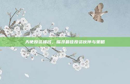 天使投资排名，探寻最佳投资伙伴与策略