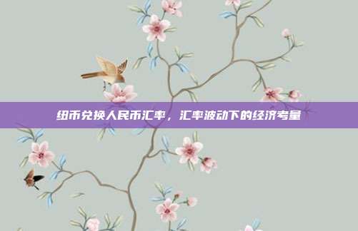 纽币兑换人民币汇率，汇率波动下的经济考量