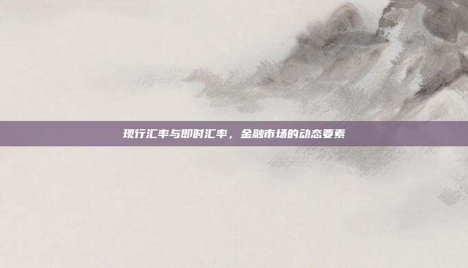 现行汇率与即时汇率，金融市场的动态要素
