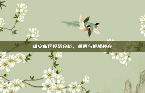 雄安新区投资分析，机遇与挑战并存