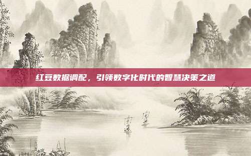 红豆数据调配，引领数字化时代的智慧决策之道