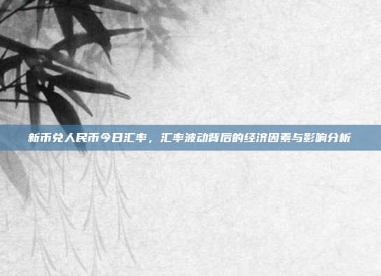 新币兑人民币今日汇率，汇率波动背后的经济因素与影响分析