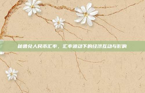 秘鲁兑人民币汇率，汇率波动下的经济互动与影响