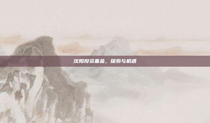 沈阳投资基金，探索与机遇