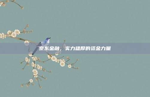 京东金融，实力雄厚的资金力量