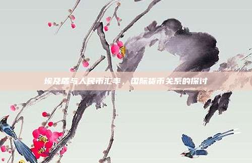 埃及盾与人民币汇率，国际货币关系的探讨