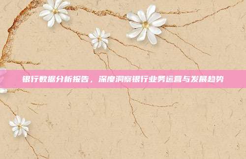 银行数据分析报告，深度洞察银行业务运营与发展趋势