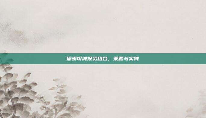 探索切线投资组合，策略与实践