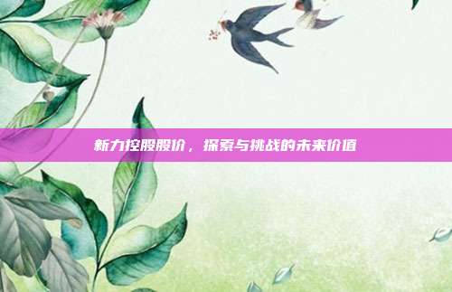 新力控股股价，探索与挑战的未来价值