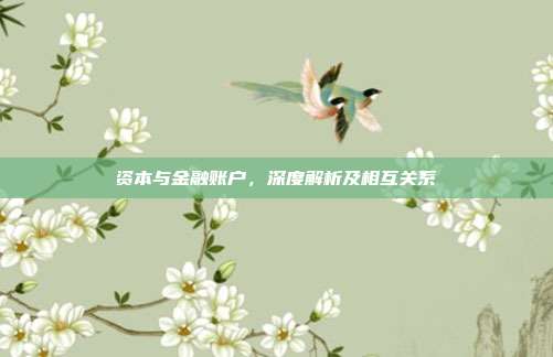 资本与金融账户，深度解析及相互关系